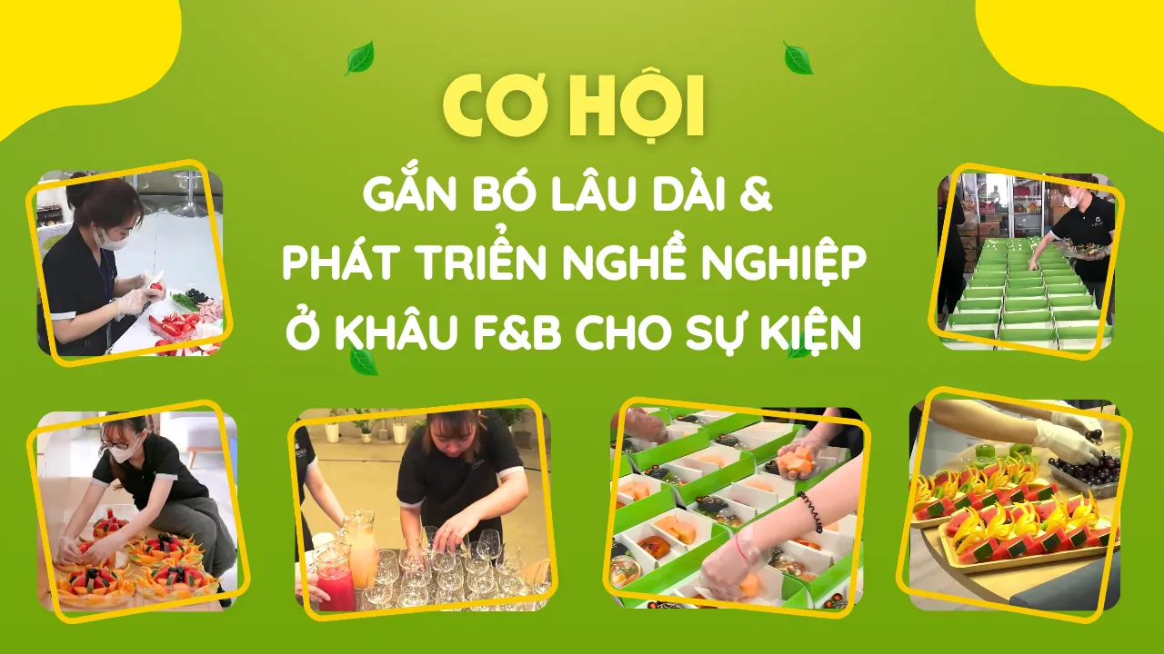 Cơ hội gắn bó lâu dài và phát triển nghề nghiệp rõ ràng tại Vuông Tròn