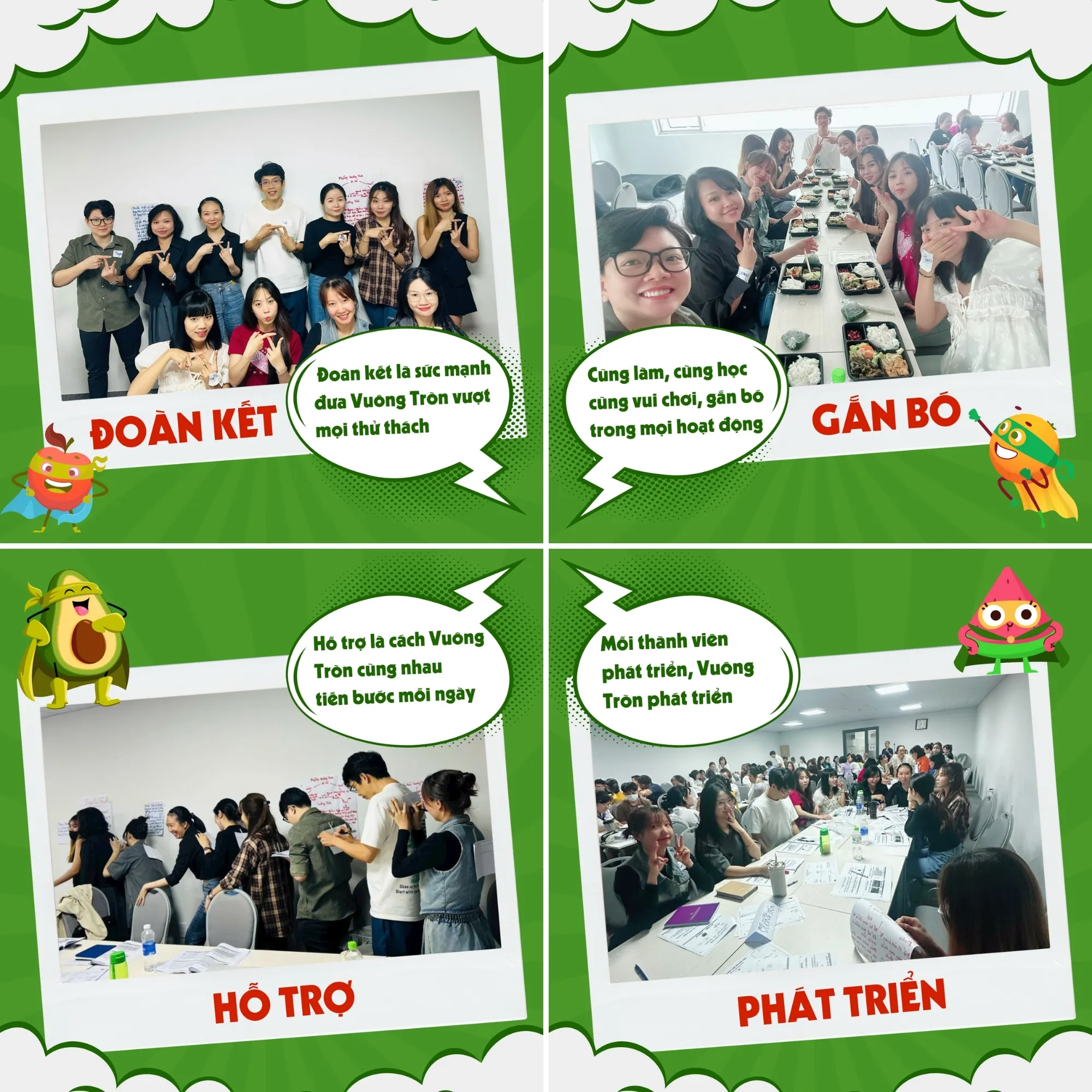 VHDN Phát triển tại Trái Cây Vuông Tròn